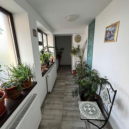 Solaria Budget Studio Galaţi Exterior foto